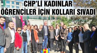 Birgül Karababa: