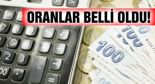 Yeni Yılda Vergi, Harç Ve Cezalar Ne Kadar Artacak?