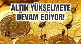 Altın Yükselmeye Devam Ediyor!