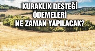 Kuraklık Desteği Ödemeleri Ne Zaman Yatacak?
