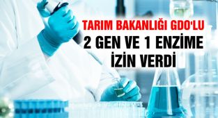 Tarım Bakanlığı GDO'lu 2 Gen Ve 1 Enzime İzin Verdi