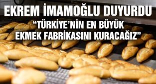 Türkiye'nin En Büyük Ekmek Fabrikası Kurulacak