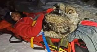 Yaralı Dağcının Hayatını Köpeği Kurtardı!