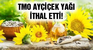 TMO, 6 Bin Ton Ham Ayçiçek Yağı İthal Etti