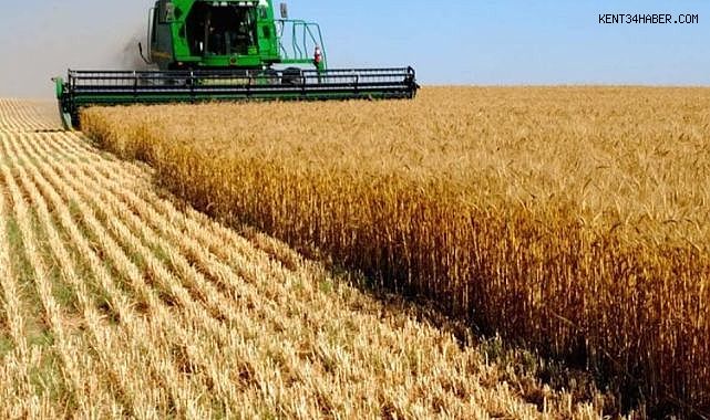 Tarımda Üretici Enflasyonu Yeni Bir Rekor Kırdı