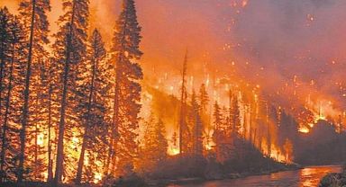 Brezilya Amazonları'nda Çıkan Orman Yangınları 2021'in Tamamını Geride Bıraktı