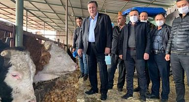 Süt ve Süt Ürünleri Alarm Veriyor!