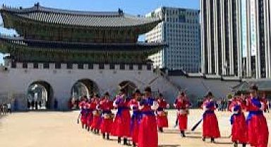 Güney Kore'nin başkenti Seul'de kadınlara özel araç park yerleri kaldırılacak