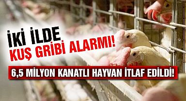 Afyonkarahisar ve Denizli'de kuş gribi alarmı!