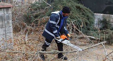 Kartal'da Bahara Hazırlık İçin Binlerce Ağaç Budandı