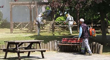 Kartal’ın Parkları Yaza Hazırlanıyor