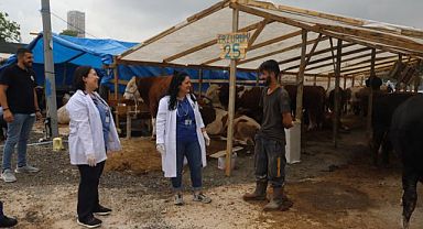 Kartal’da, Kurbanlık Hayvanlar Sağlık Kontrolünden Geçiyor