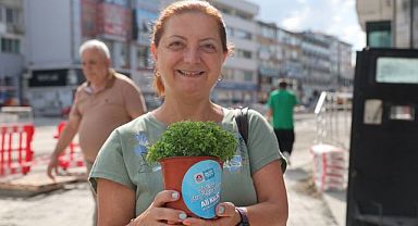 Maltepe’de evler fesleğen kokacak