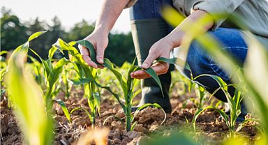 Bakanlık Açıkladı: Bitki Koruma Sektöründe Kep Dönemi Başladı
