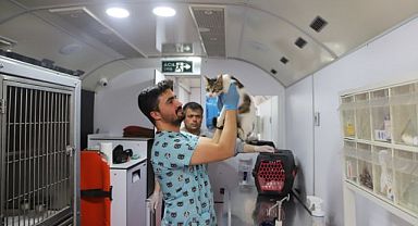 Vetbüs 3 Gün Boyunca Kartal’da Patili Dostlara Hizmet Verdi