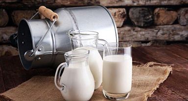 TÜİK Ağustos Ayı Süt ve Süt Ürünleri Üretim Verilerini Açıkladı