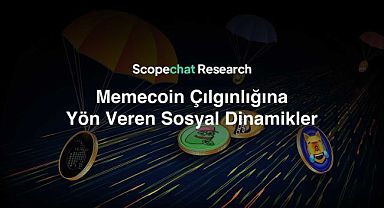Memecoin Çılgınlığına Yön Veren Sosyal Dinamikler