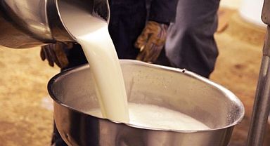 Ticari süt işletmelerince 1 milyon 15 bin 647 ton inek sütü toplandı