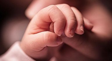 TÜİK, 2024 Doğum İstatistiklerini Açıkladı