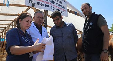 Kartal Belediyesi’nden Kurban Bayramı Öncesi Dev Hazırlık