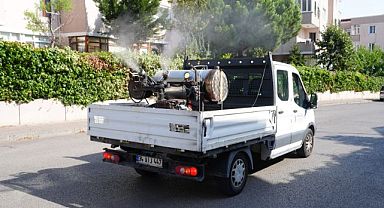 Kartal’da Vektörle Mücadele Çalışmaları Aralıksız Devam Ediyor