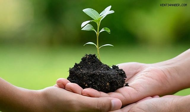 Çevre koruma harcamaları 441 milyar TL olarak gerçekleşti