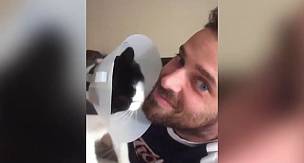 KEDİLERİN İLGİNÇ VE KOMİK HALLERİ